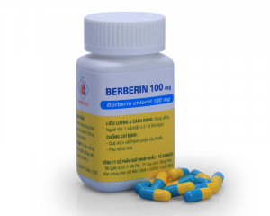 Tiêu chảy Nhiễm khuẩn đường ruột Berberin 100mg Cap. Domesco (C/100v)